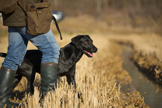 Our Gamekeeping History