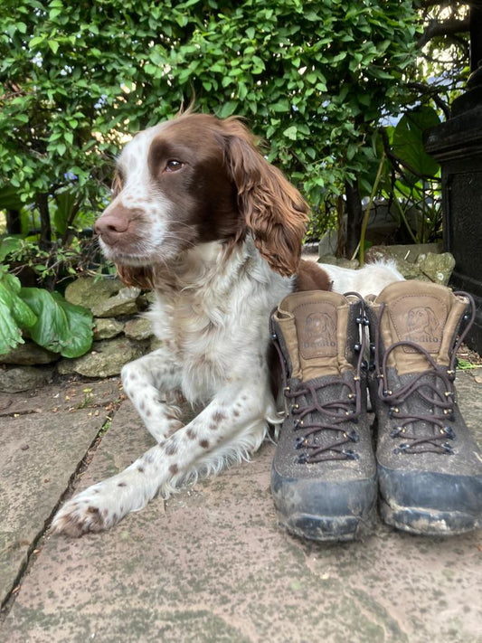 New Dedito boots. Excellent quality and hard wearing for all terrains