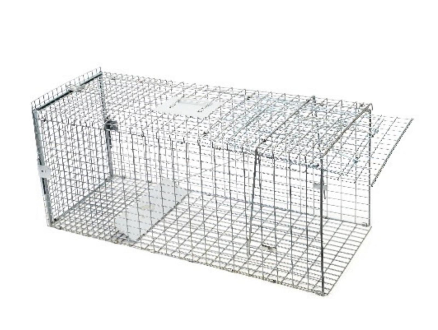 Fox Cage Trap