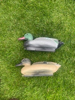 Decoy Ducks (brace)