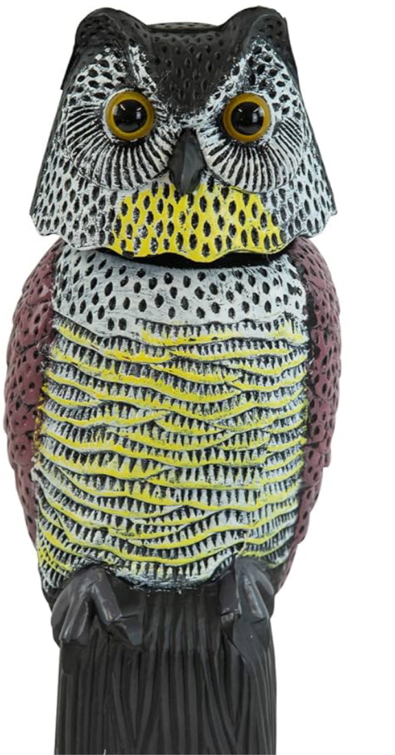 Decoy Owl