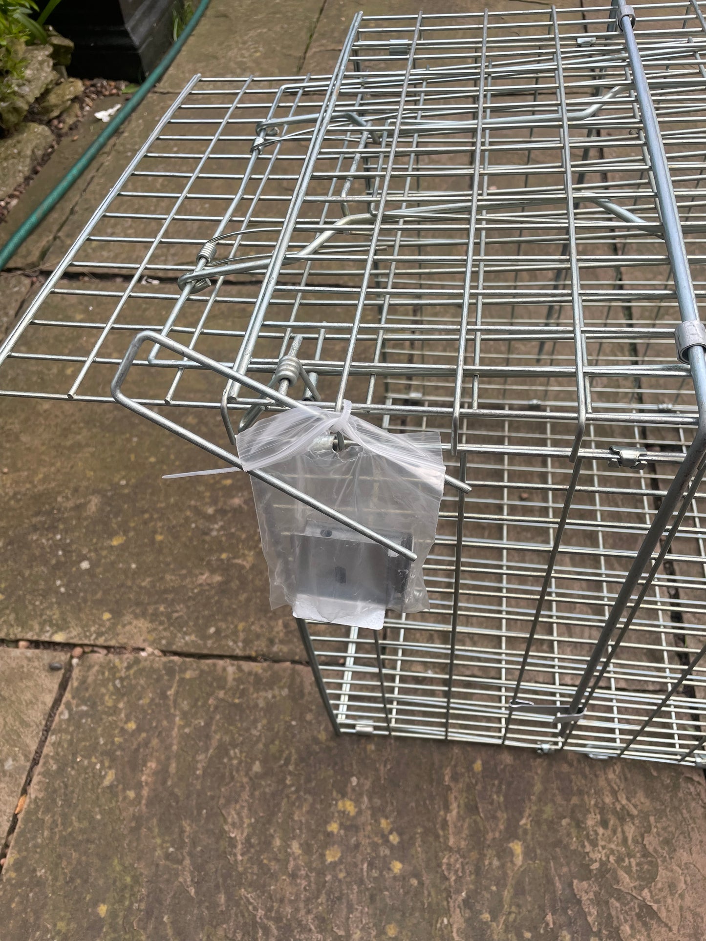 Fox Cage Trap