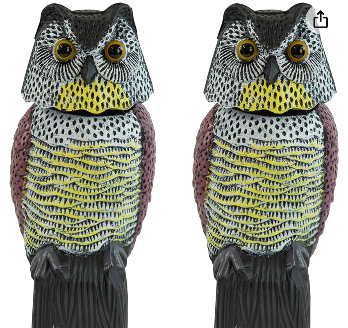 Decoy Owl