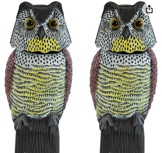 Decoy Owl