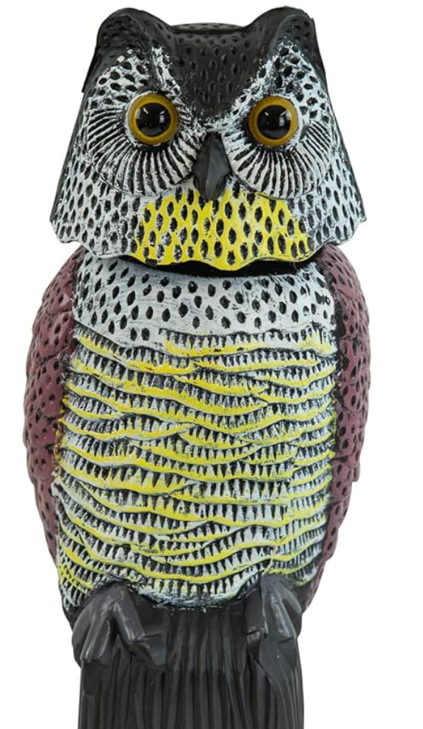 Decoy Owl