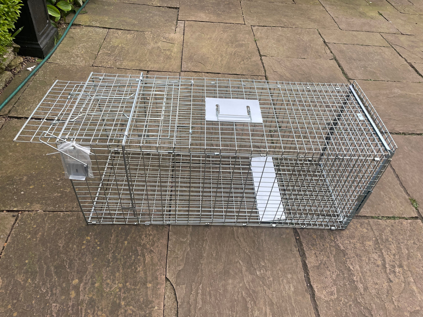 Fox Cage Trap