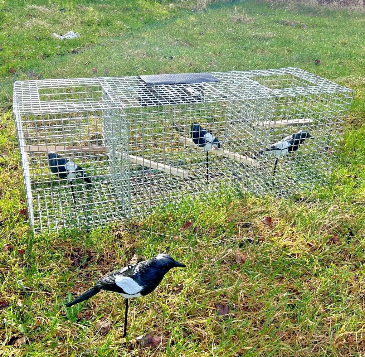 Larsen Trap (Top Entry)