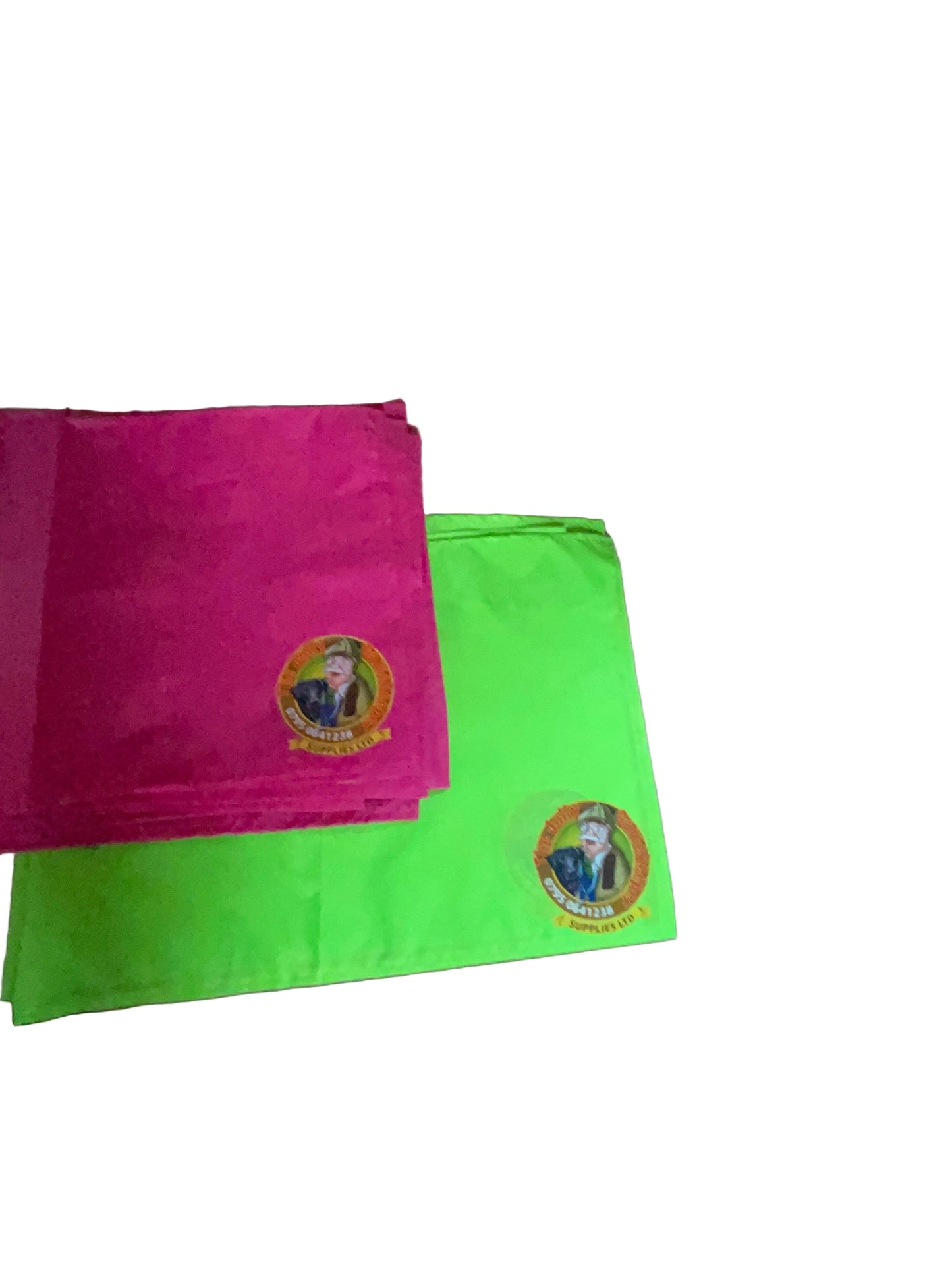 Children’s beaters flag with logo.