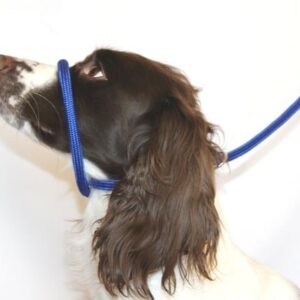 Figure 8 Halter Leads – Cotton Rope