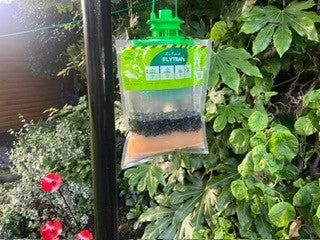 Lodi Organ X Pro-Formula Fly trap XL