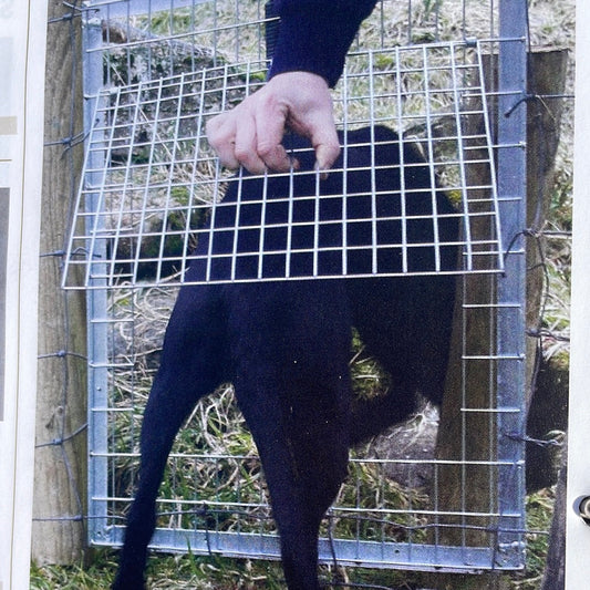 Dog Gate-Galvanised