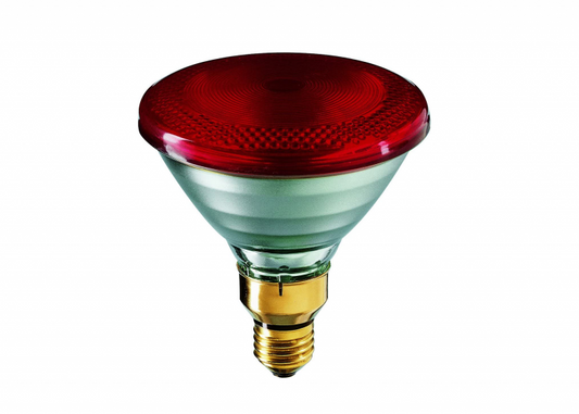 Infrared Heat Lamp Bulb E27 Screw – 250 Watts  BR125