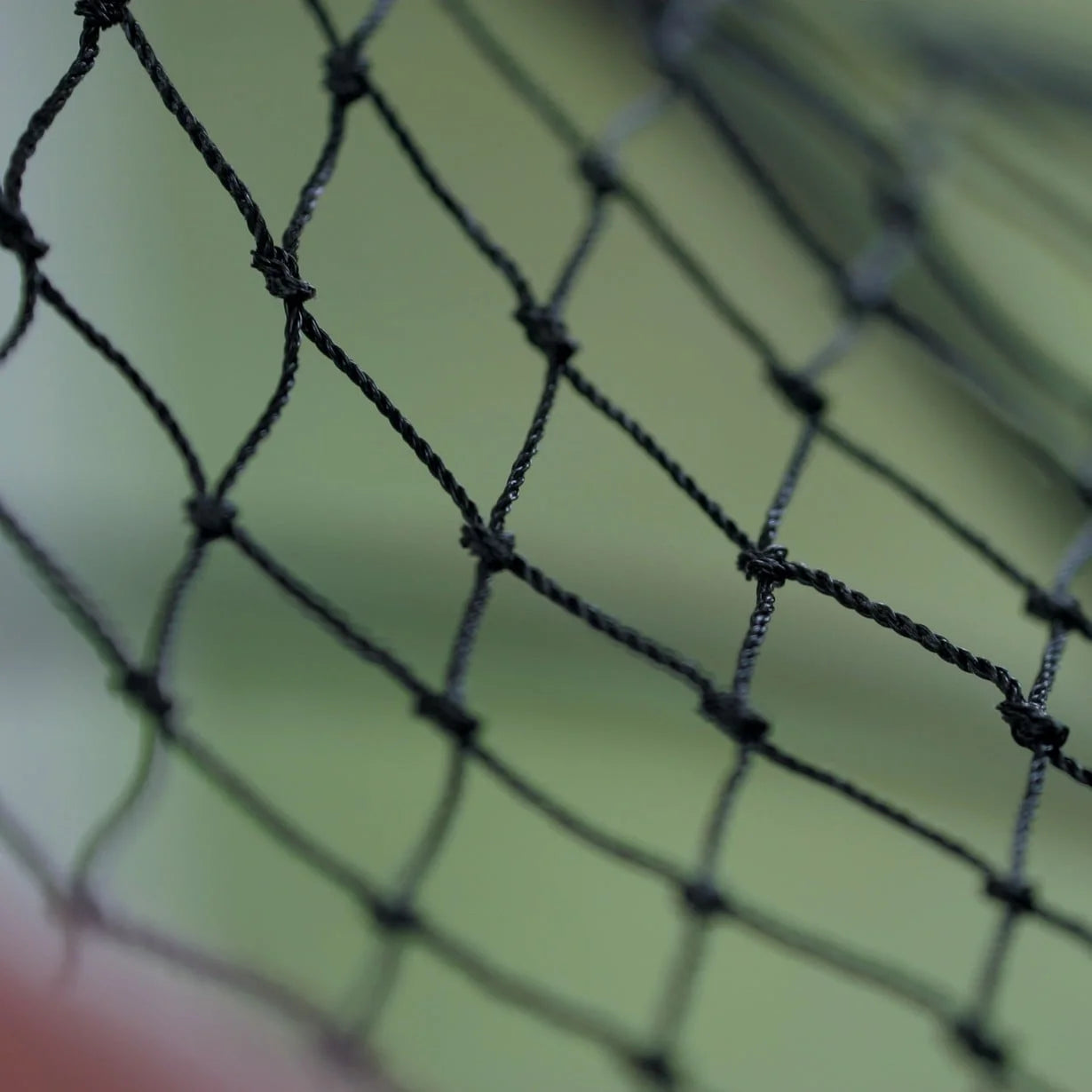Game Bird Roof pen Netting