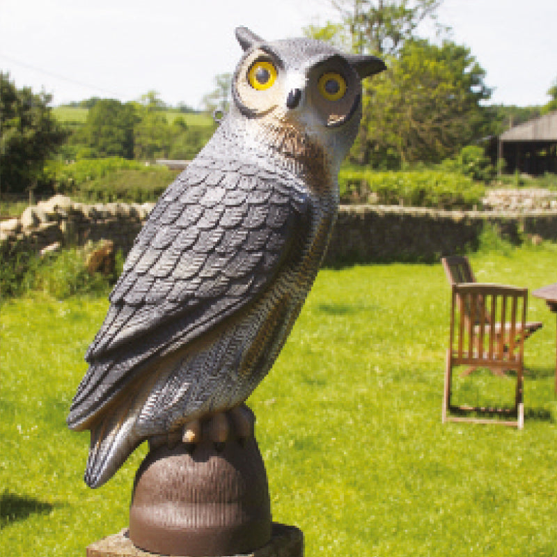 Decoy Owl Game & Poultry Trap Jolly Gamekeeper The Jolly Gamekeeper