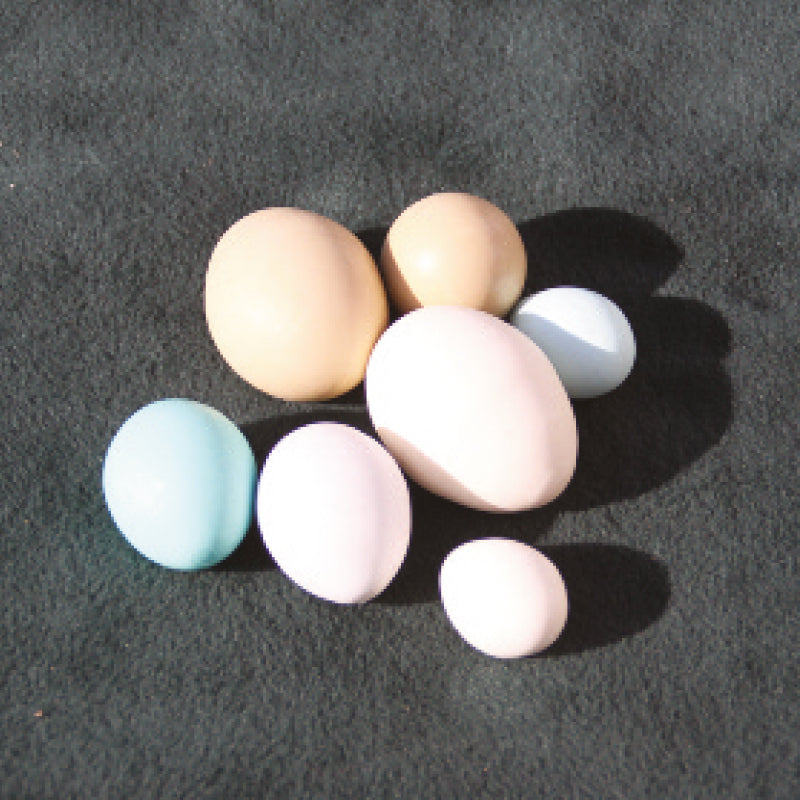 Dummy Eggs