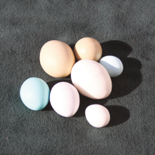 Dummy Eggs