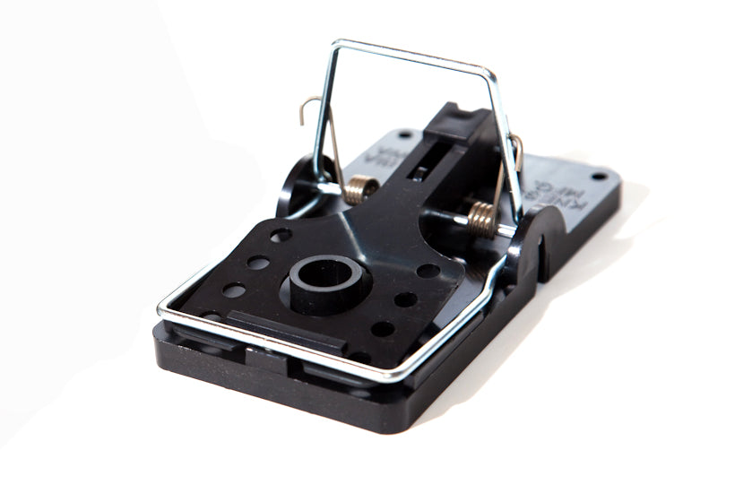 Rat Trap