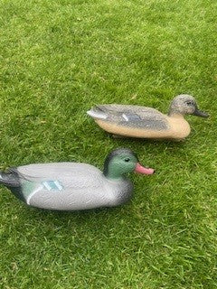 Decoy Ducks (brace)
