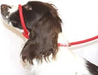 Figure 8 Halter Leads – Cotton Rope
