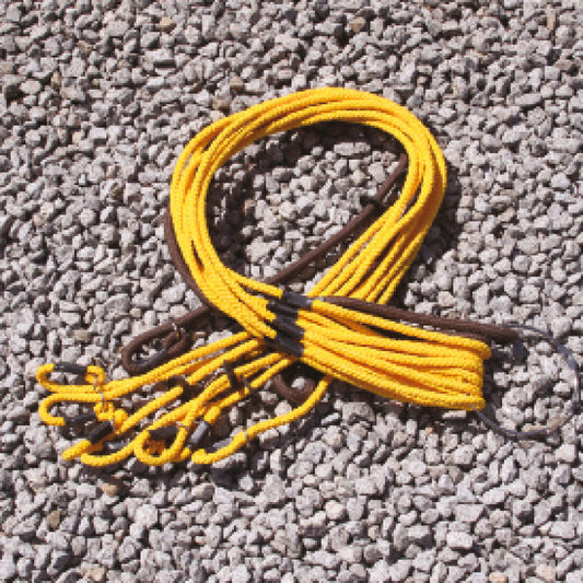 Dog Lead