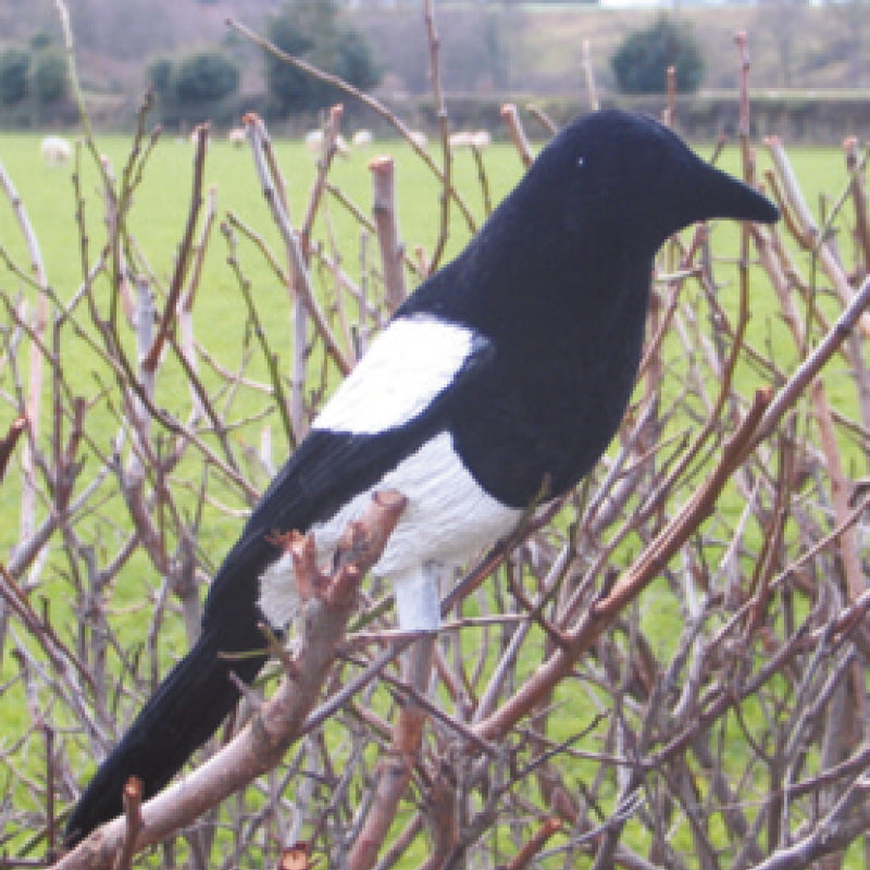 Decoy Flocked Magpie