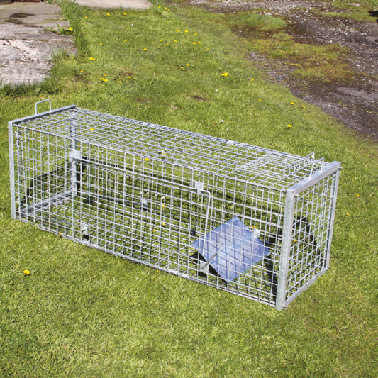 Fox Cage Trap