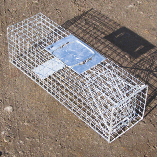 Single Entry Squirrel Trap