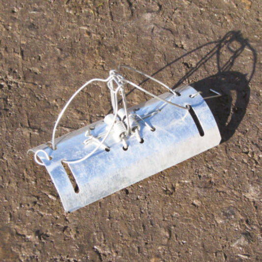 Tunnel Mole Trap